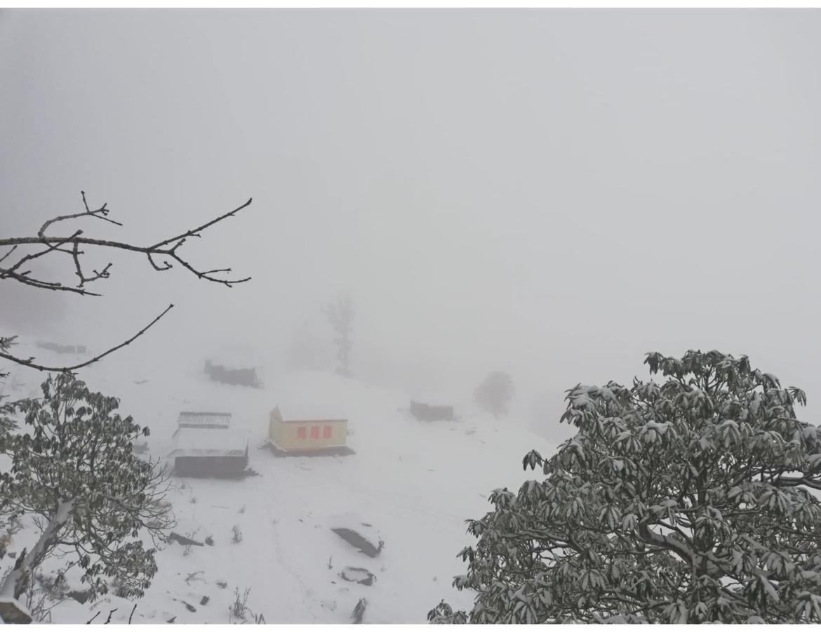 Chopta Wildlife Camps Resorts, Chopta מראה חיצוני תמונה