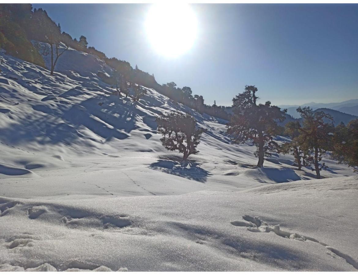 Chopta Wildlife Camps Resorts, Chopta מראה חיצוני תמונה