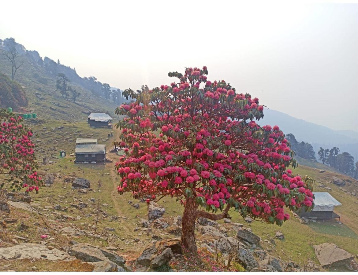Chopta Wildlife Camps Resorts, Chopta מראה חיצוני תמונה