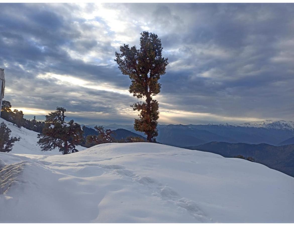 Chopta Wildlife Camps Resorts, Chopta מראה חיצוני תמונה